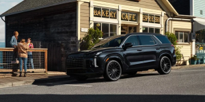 A 2025 Hyundai Palisade parked outside of a cafe near Rocky Mount, NC